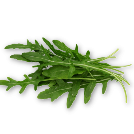 Rucola